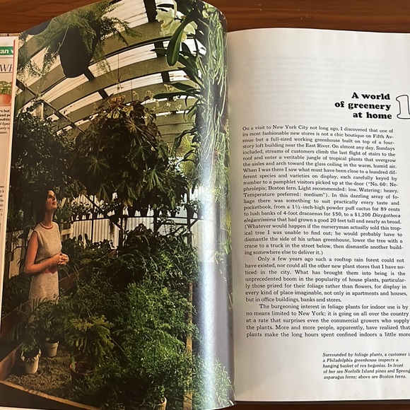 Vintage plant book - Picture 4 of 4